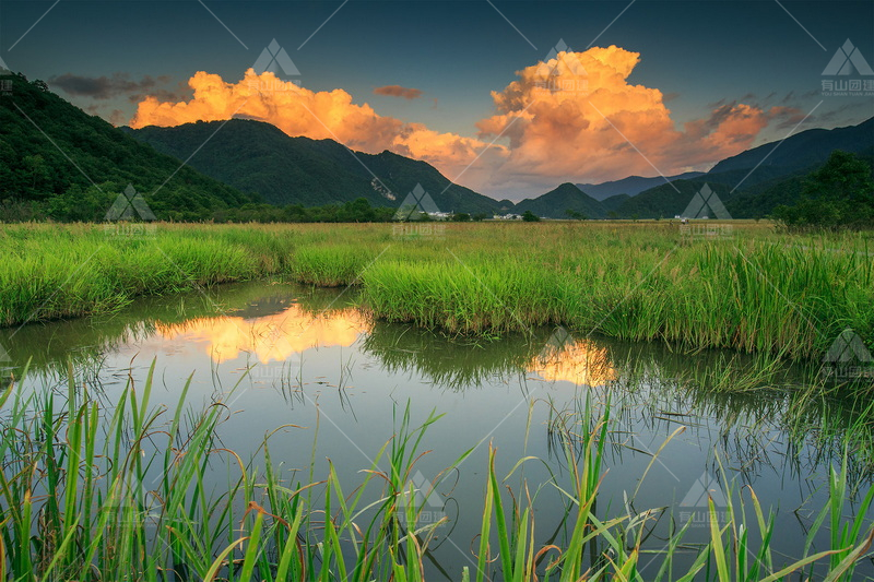 大九湖國家濕地公園_1