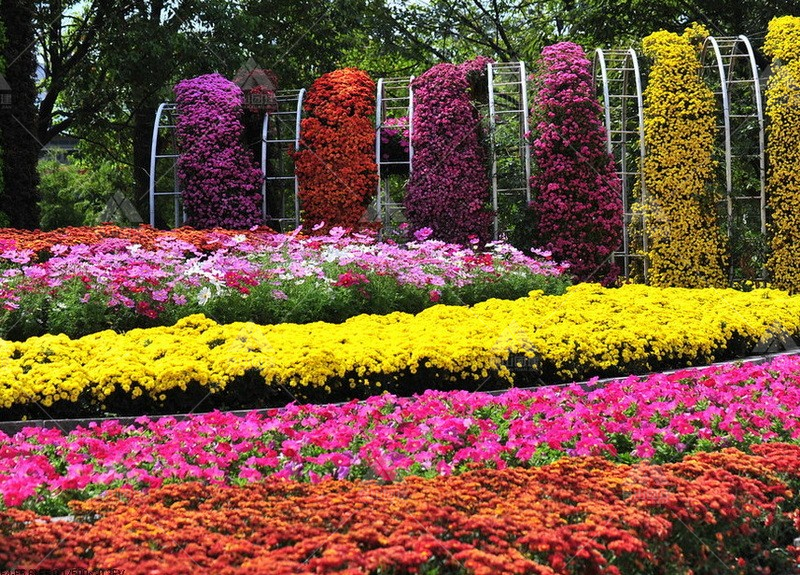 上海植物園_1