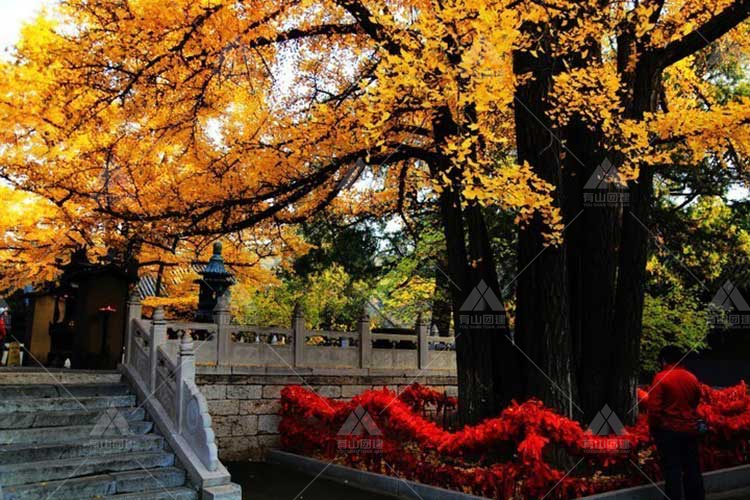 团建推荐：“怀柔八景”之一红螺寺_3