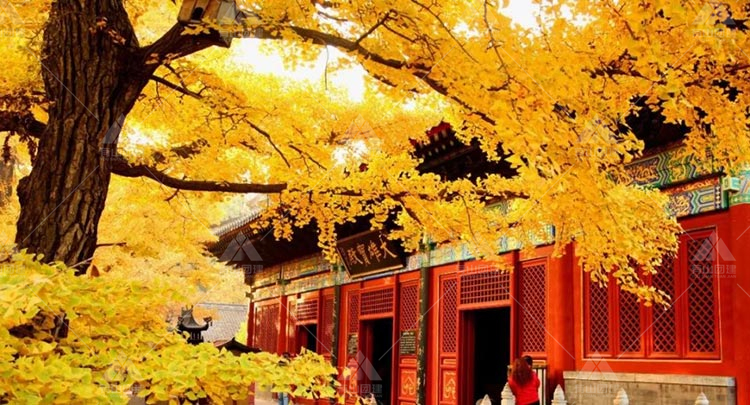北京怀柔团建：探寻不一样的怀柔风景，见证秋天的魅力_6