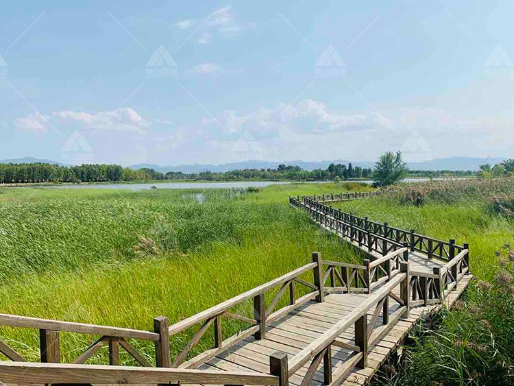徒步骑行团建推荐：北京唯一的湿地鸟类自然保护区——野鸭湖_4