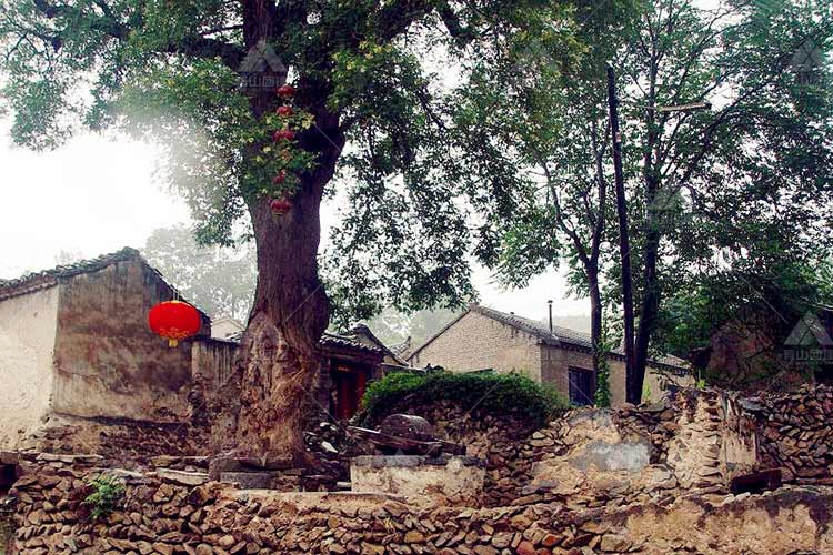 徒步团建旅行：探索北京最美古村落——400年古村灵水村_6