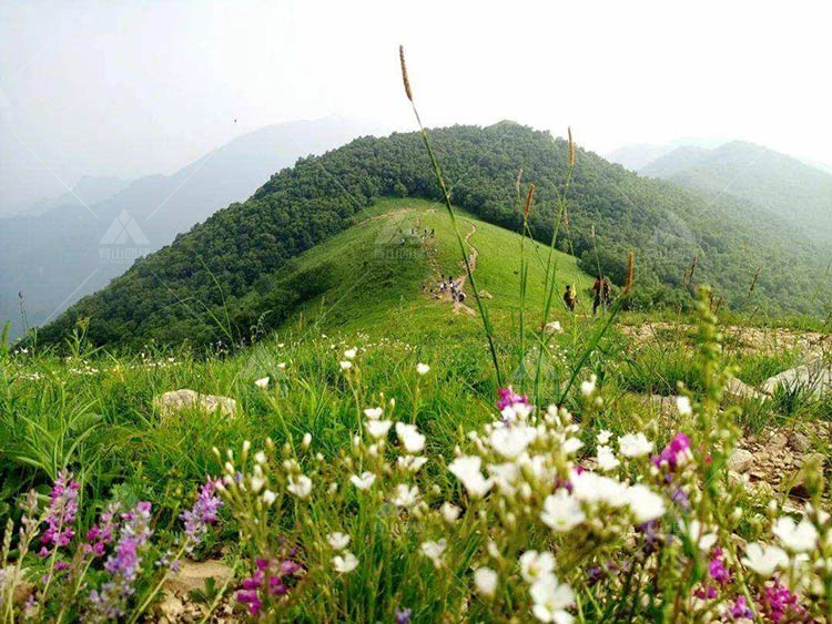 徒步团建推荐：有北京珠穆朗玛峰之称的东灵山_3