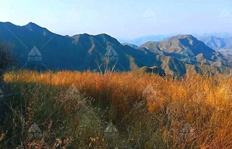 戶外徒步穿越線路：河南臺-大裂縫-張家山-南山村-田莊_2