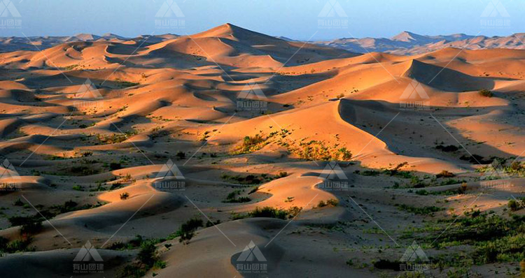 3日徒步沙漠：中国第七大沙漠——库布齐沙漠_4