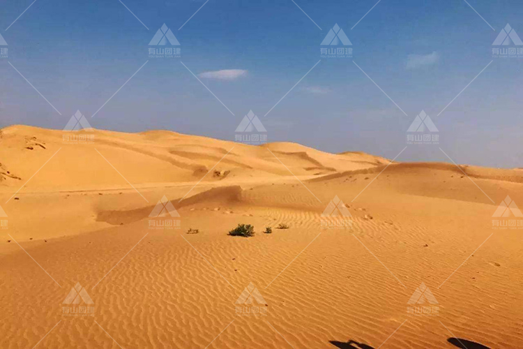 3日徒步沙漠：中国第七大沙漠——库布齐沙漠_6