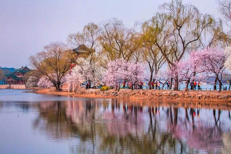 春光三月，正是踏青团建好时节，一起来一场踏青团建吧_4