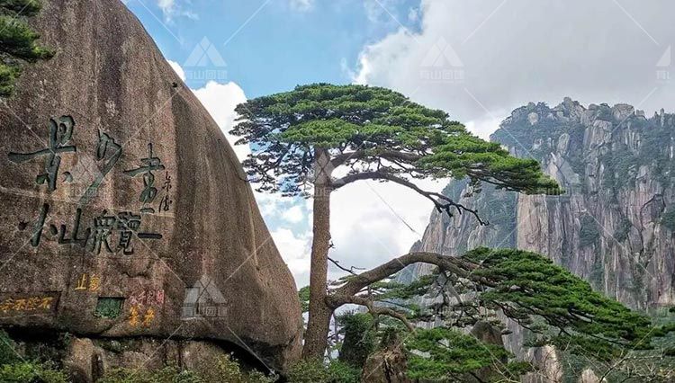 两天的黄山团建拓展训练，经历了我人生极其重要的一段旅程_1