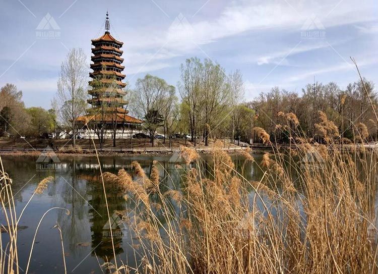 1日骑行团建：妫河森林公园北京十佳自行车骑游线路最美的一条_1