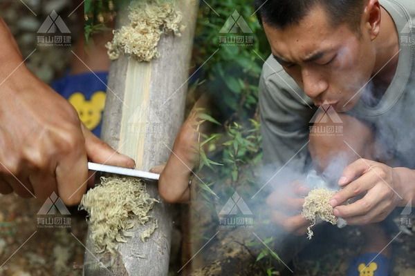 獅心挑戰(zhàn)賽.主題拓展團建_a3