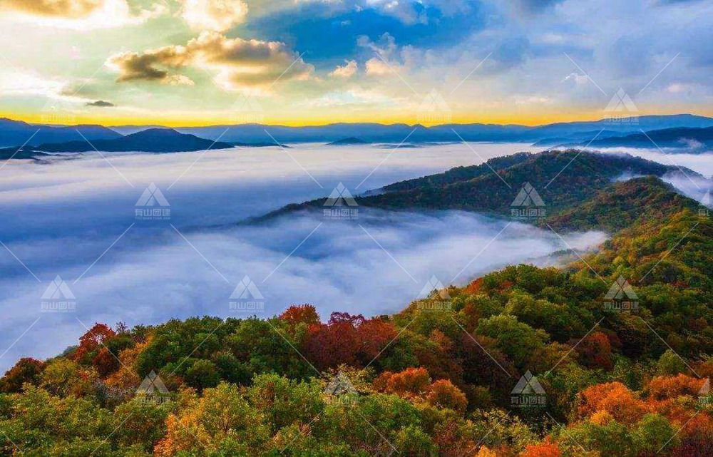 黑龍江鳳凰山_3