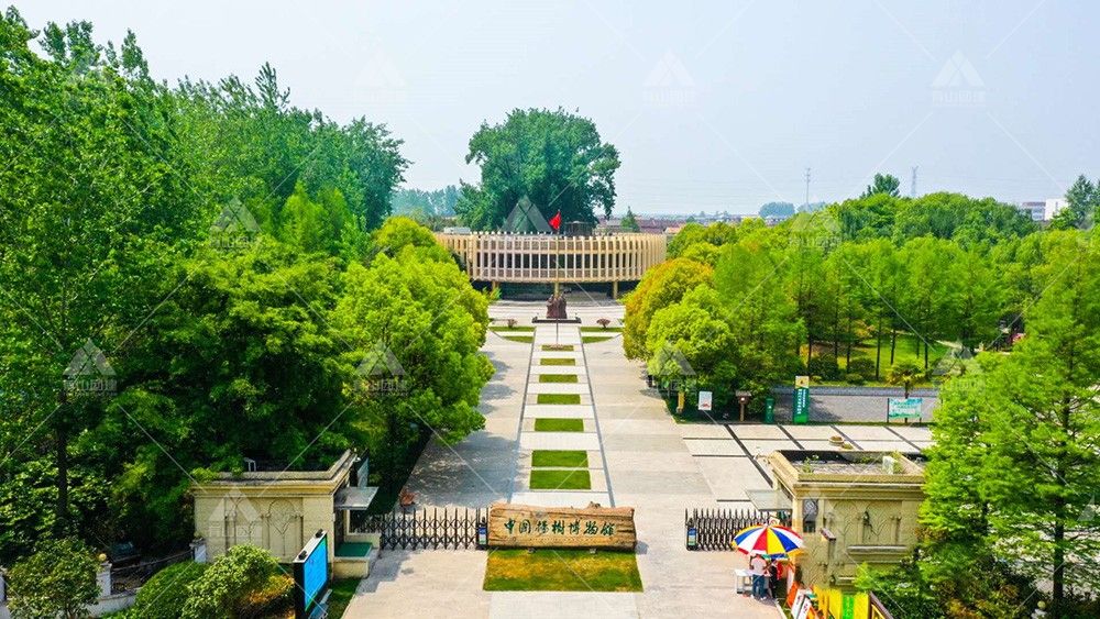 中國楊樹博物館_2