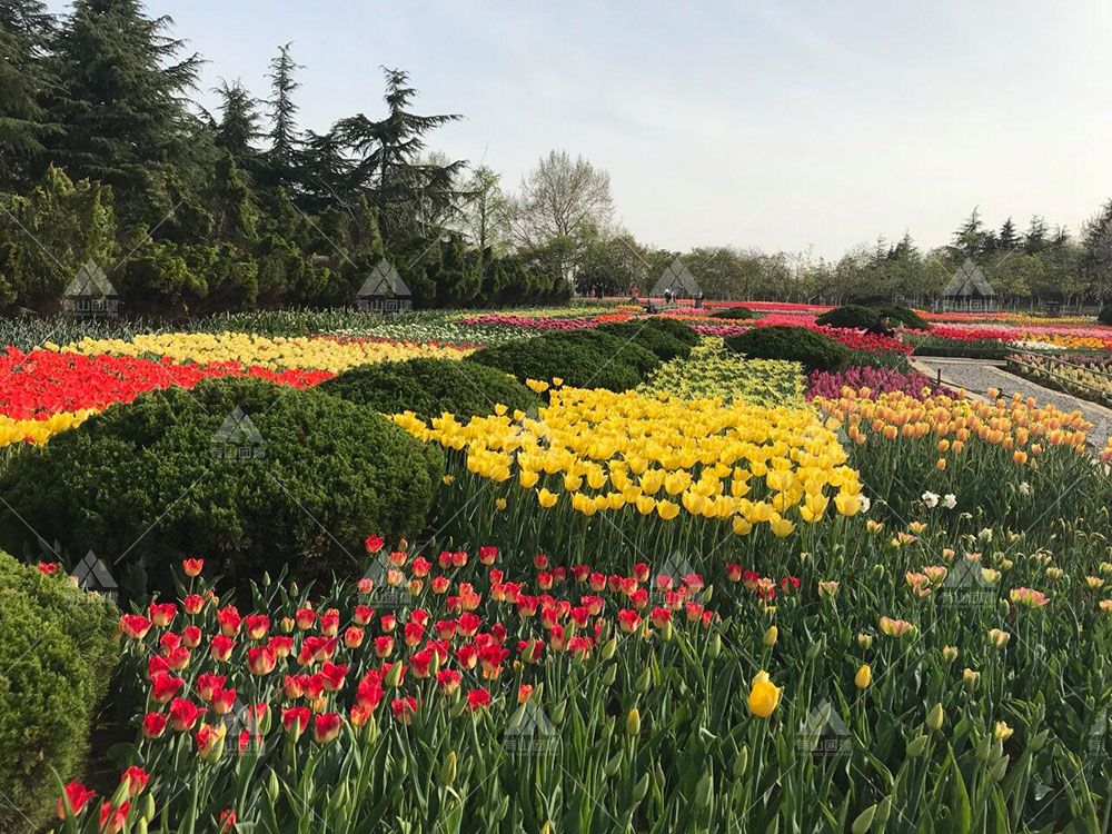 合肥市植物園_2