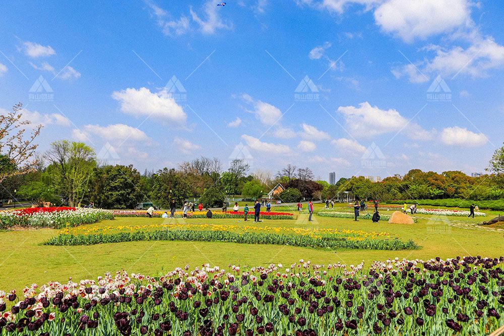 合肥市植物園_1