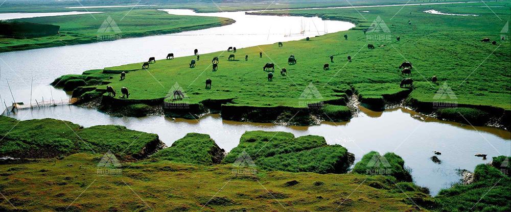 鄱阳湖国家湿地公园_2