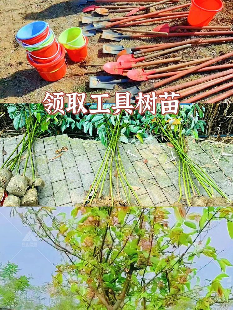 北京植树节团建-护苗植树+真人CS_2