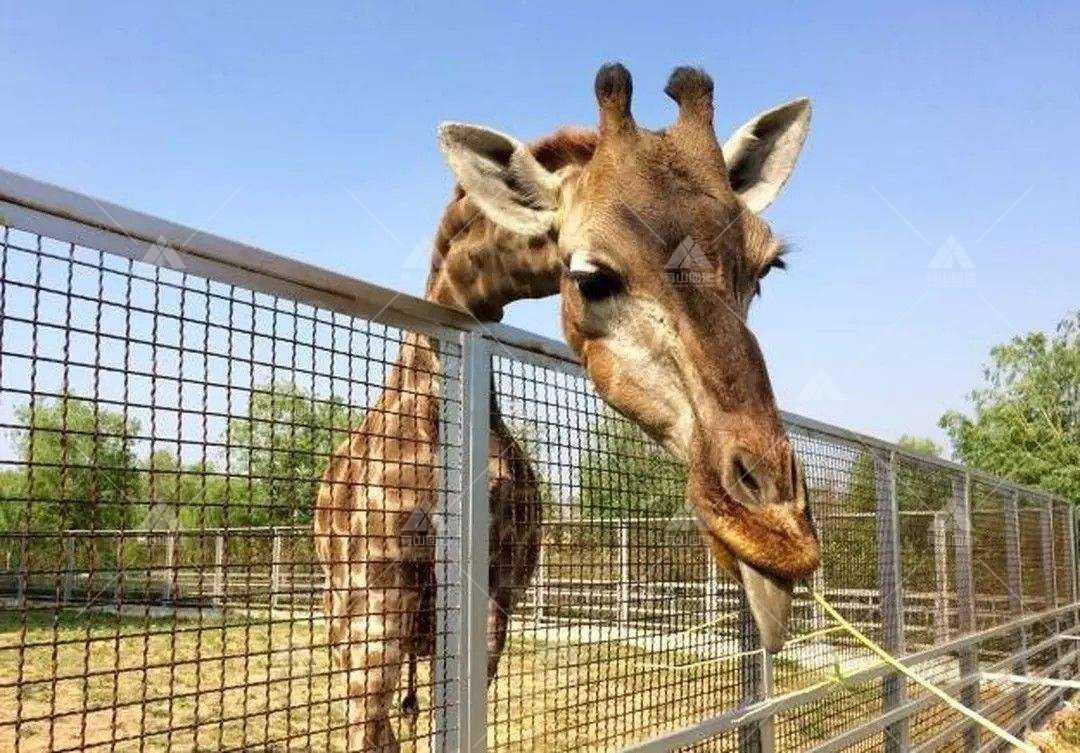 臨沂市動植物園_1