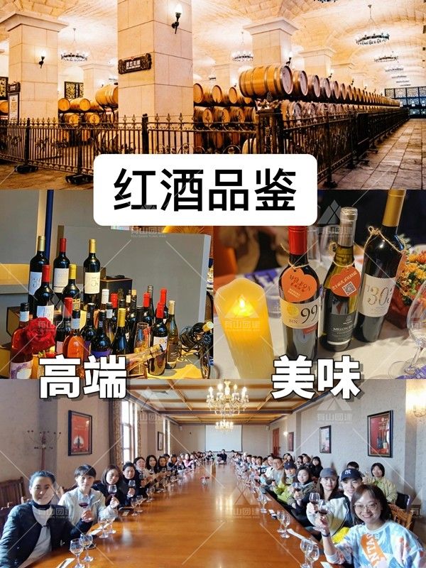 北京团建，当然来圣露庄园品红酒、玩飞盘喽_2