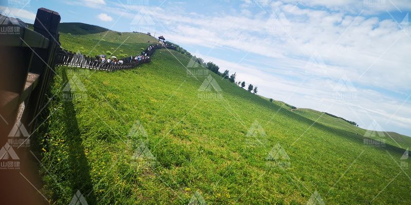 育甲高考2023年8月塞罕坝特色蒙古草原三日团建_8