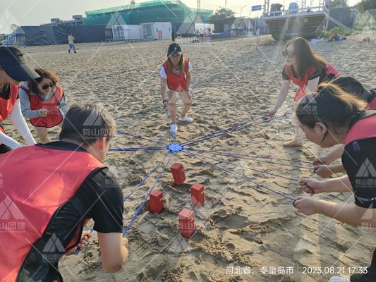 神州数码2023年8月阿那亚帆船出海两日团建_28