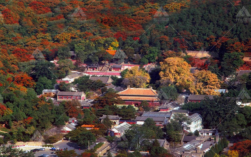 潭柘寺_2